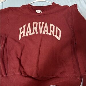 Champion Deep Red Sweatshirt